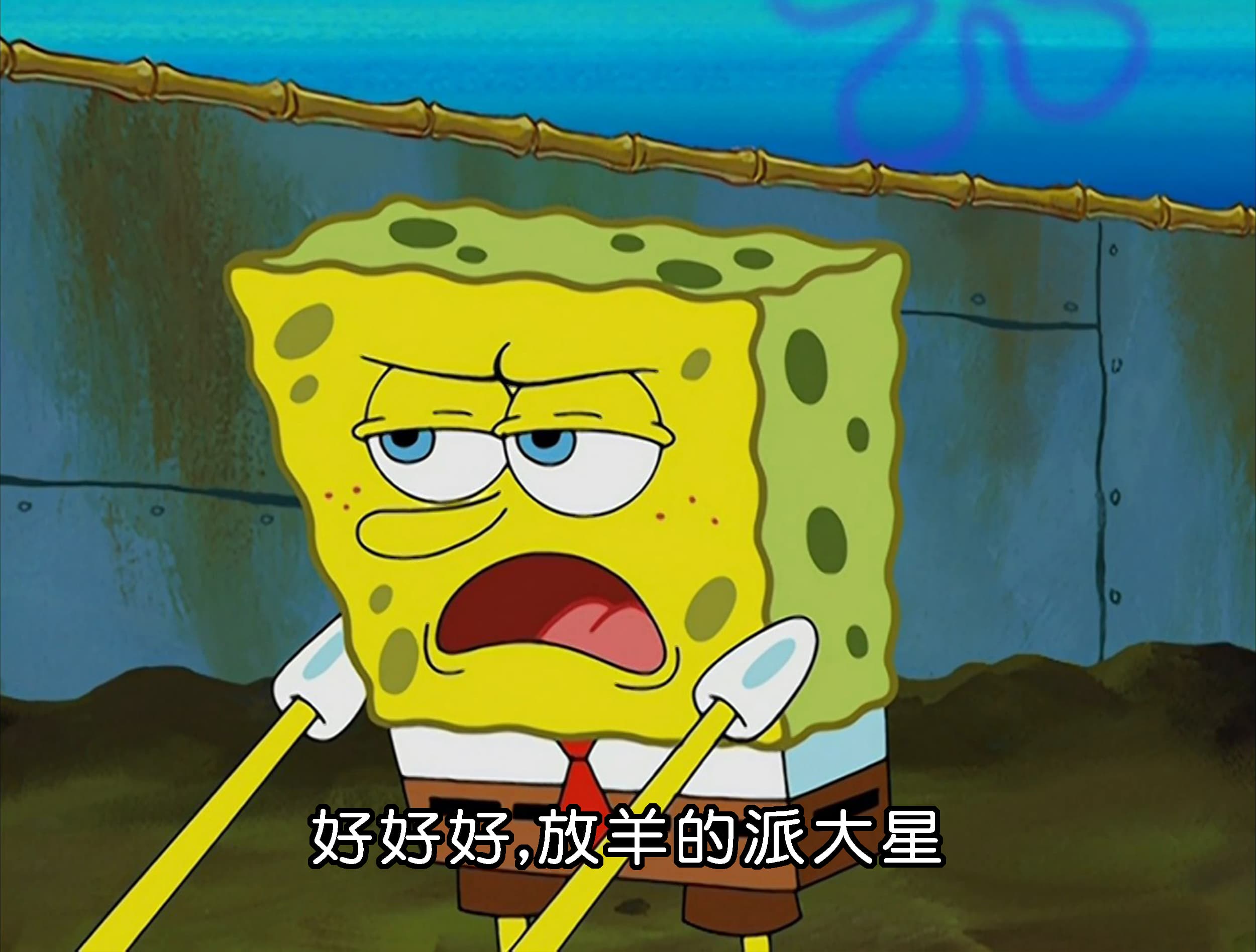 好好好 放羊的派大星