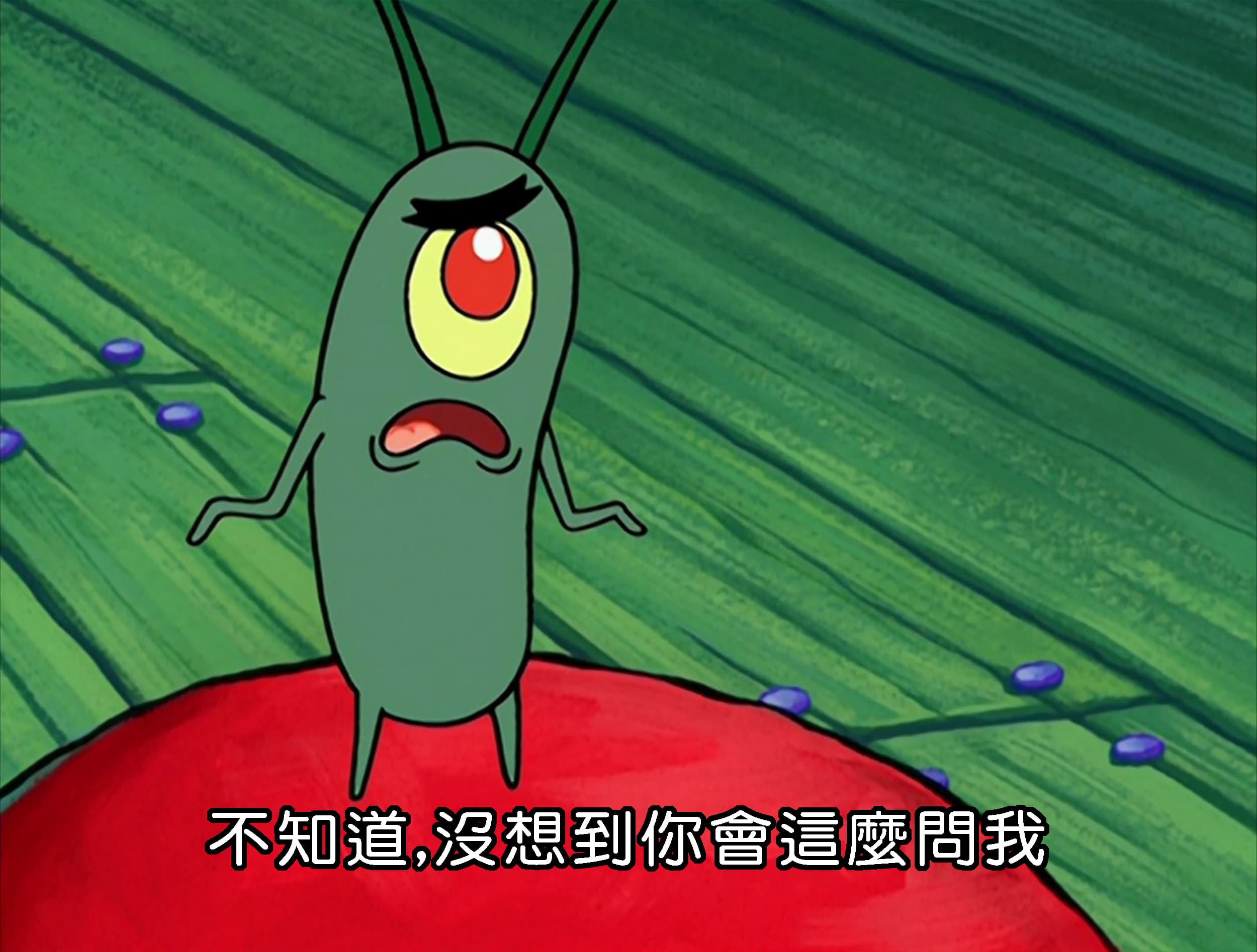 不知道 沒想到你會這麼問我