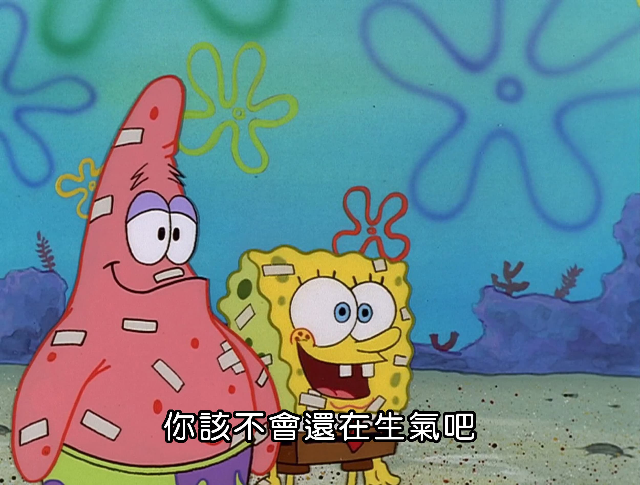 你該不會還在生氣吧