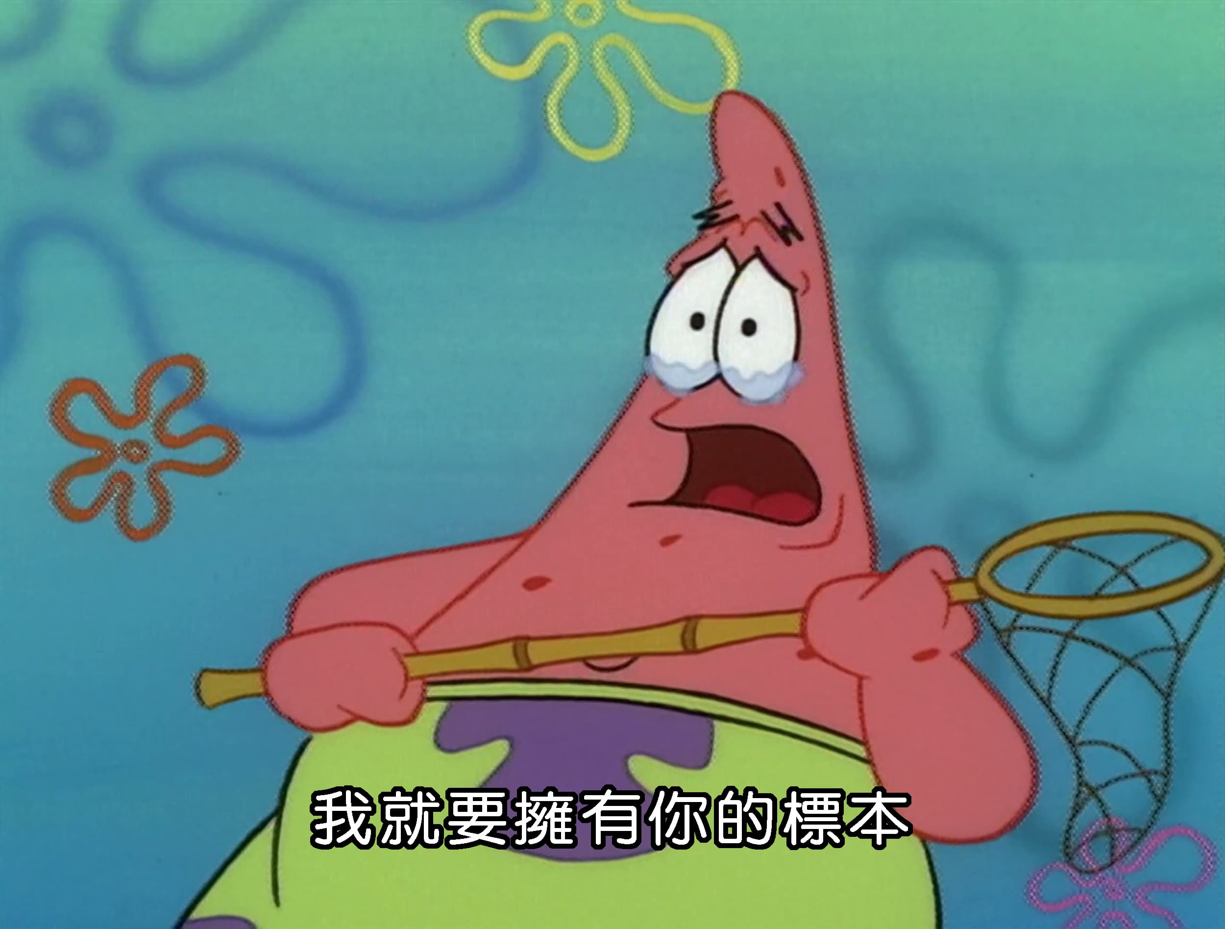 我就要擁有你的標本