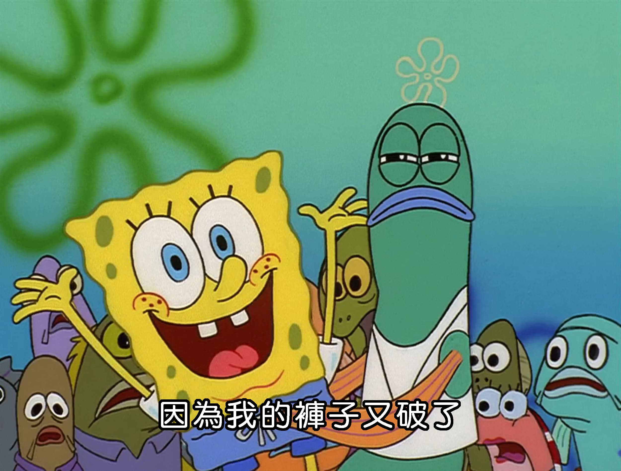 因為我的褲子又破了