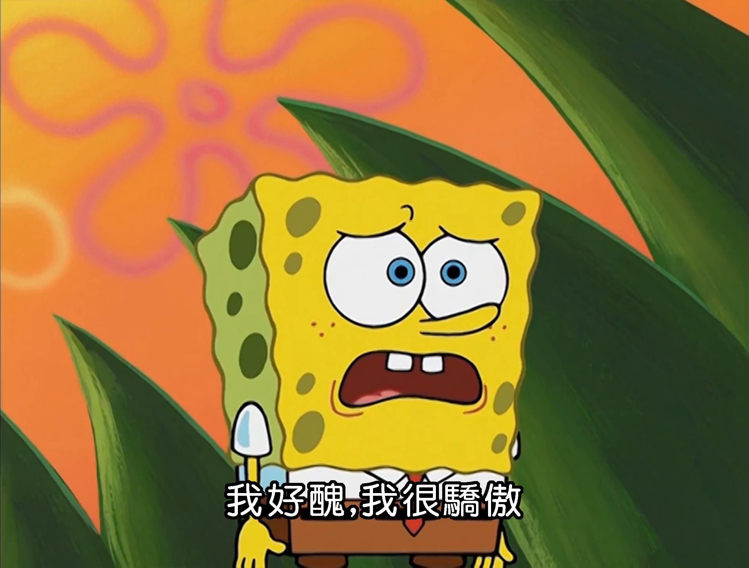 我好醜 我很驕傲