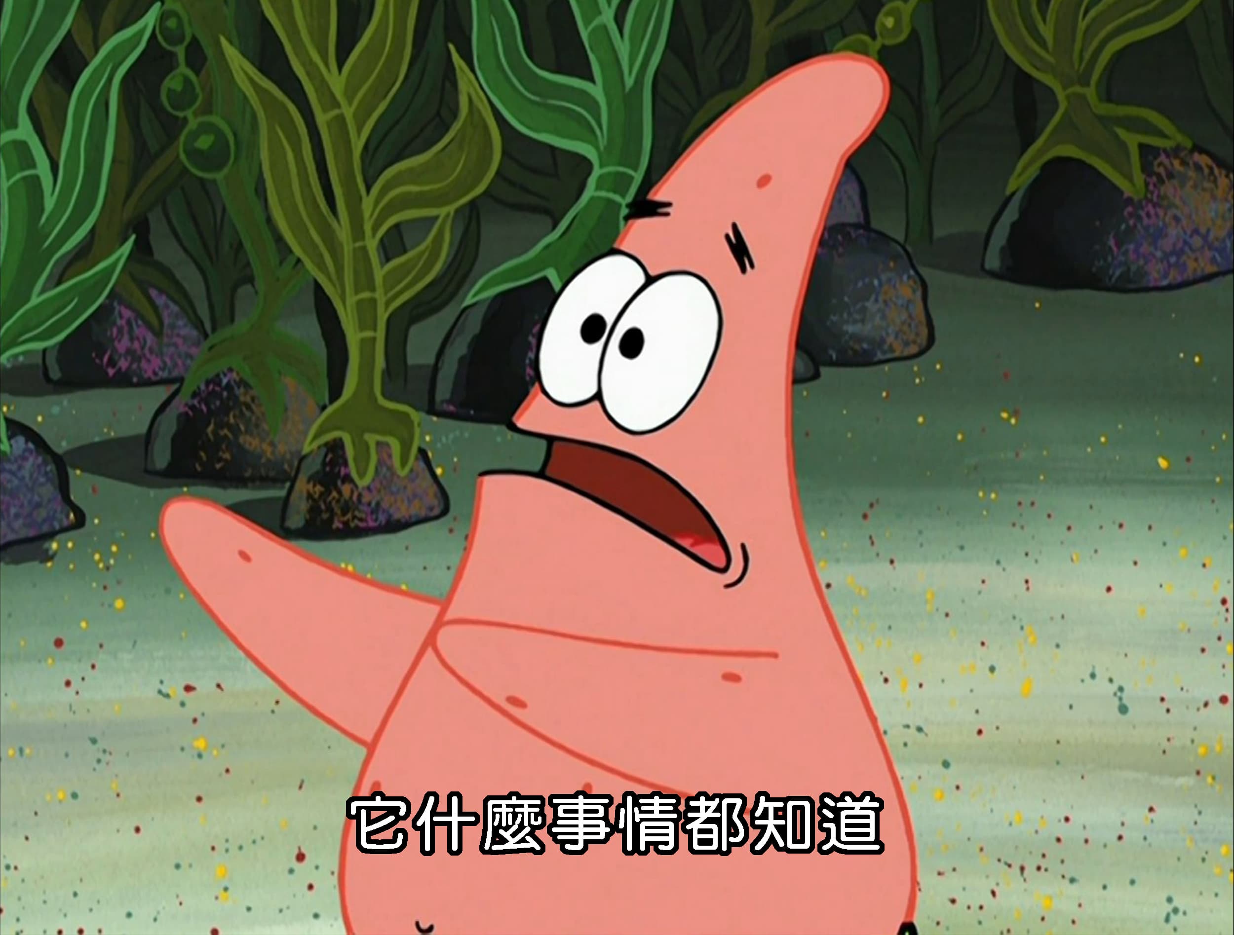 它什麼事情都知道