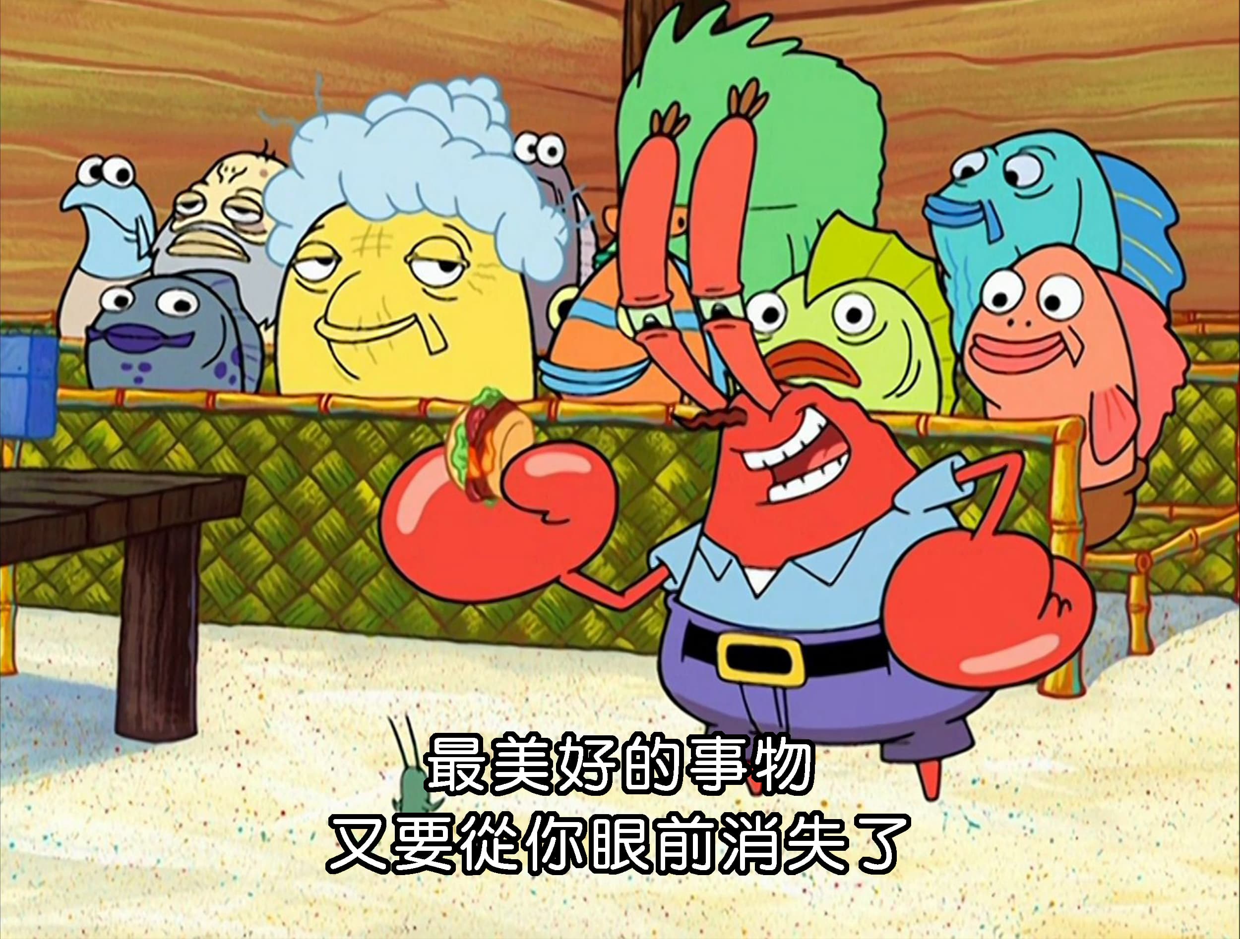 最美好的事物 又要從你眼前消失了