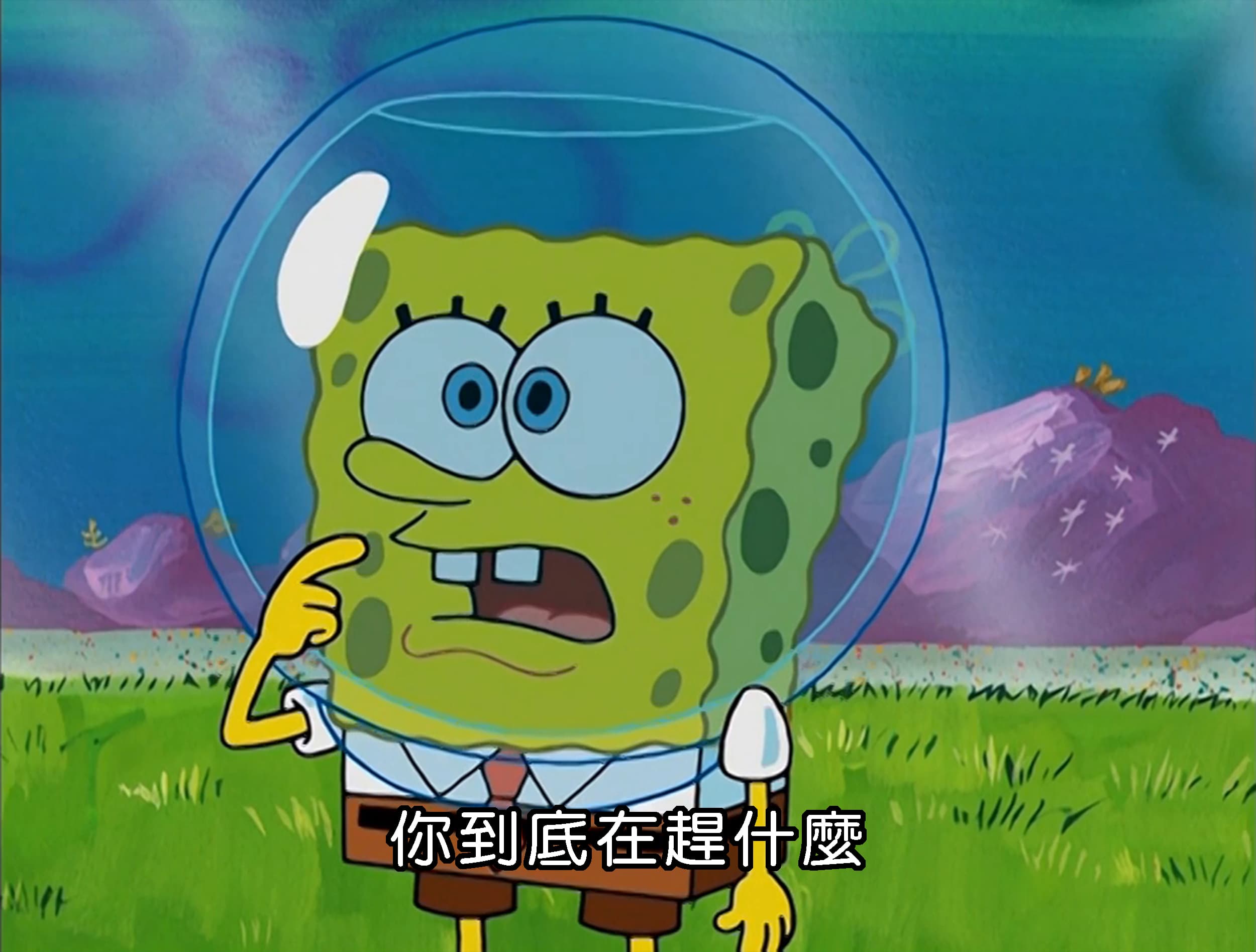 你到底在趕什麼