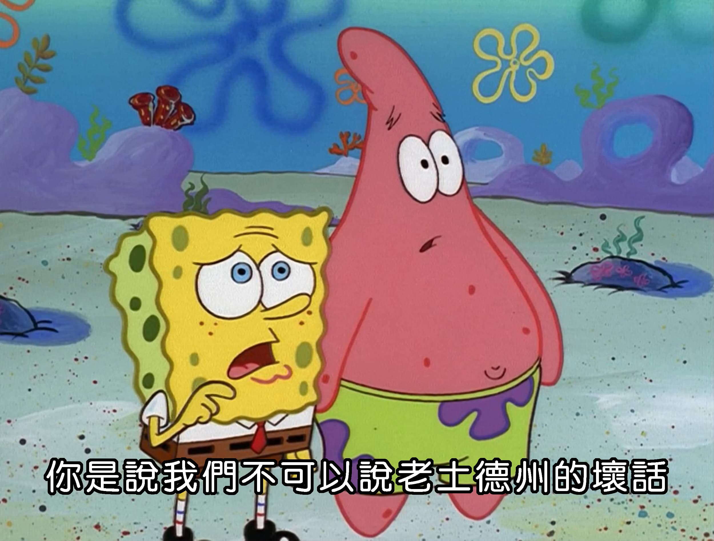 你是說我們不可以說老土德州的壞話