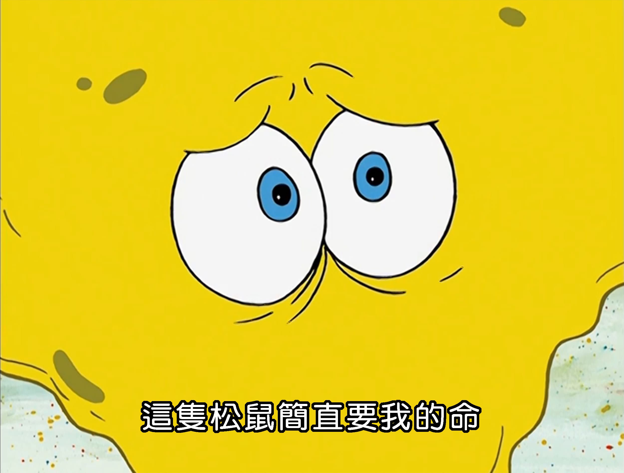 這隻松鼠簡直要我的命