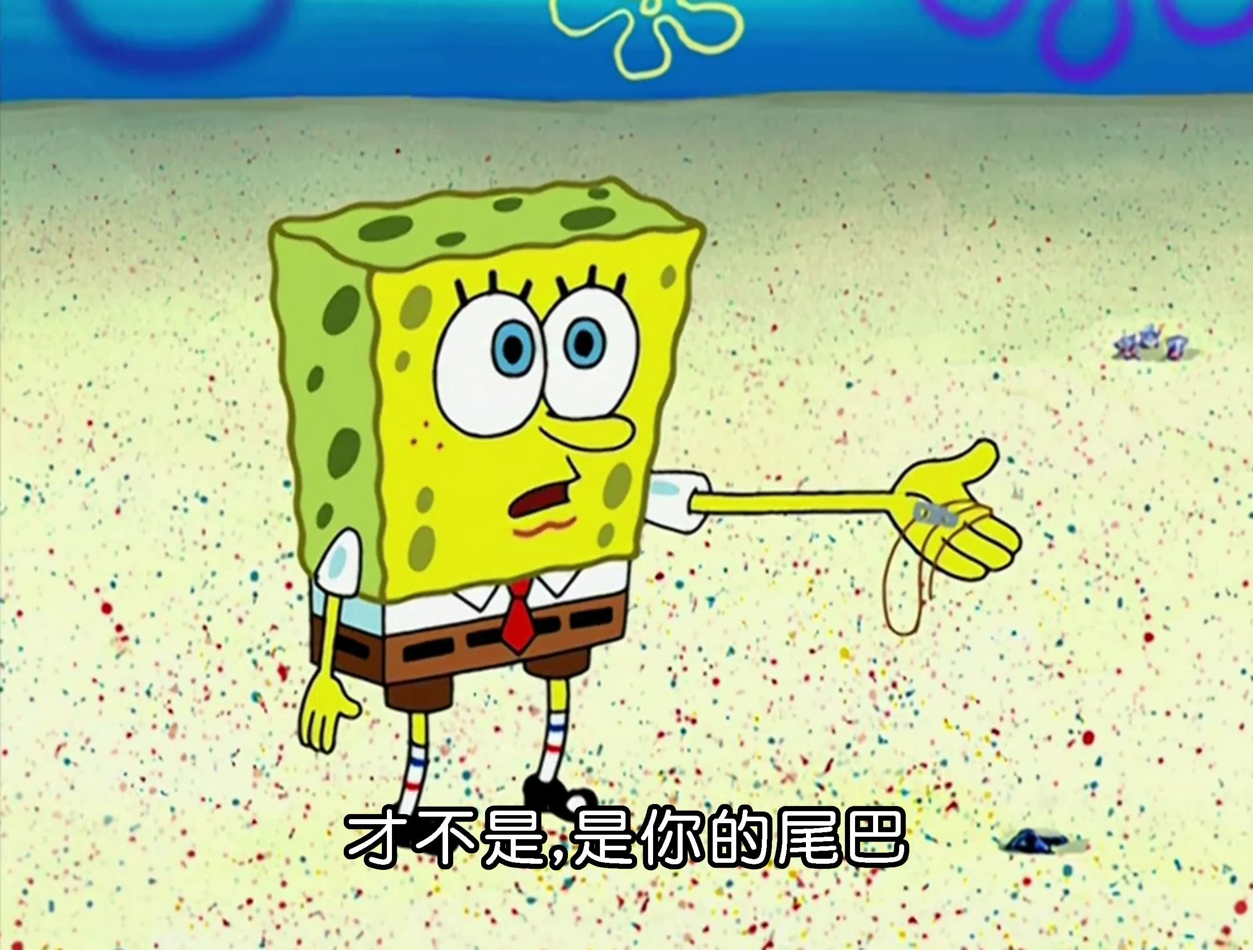 才不是 是你的尾巴