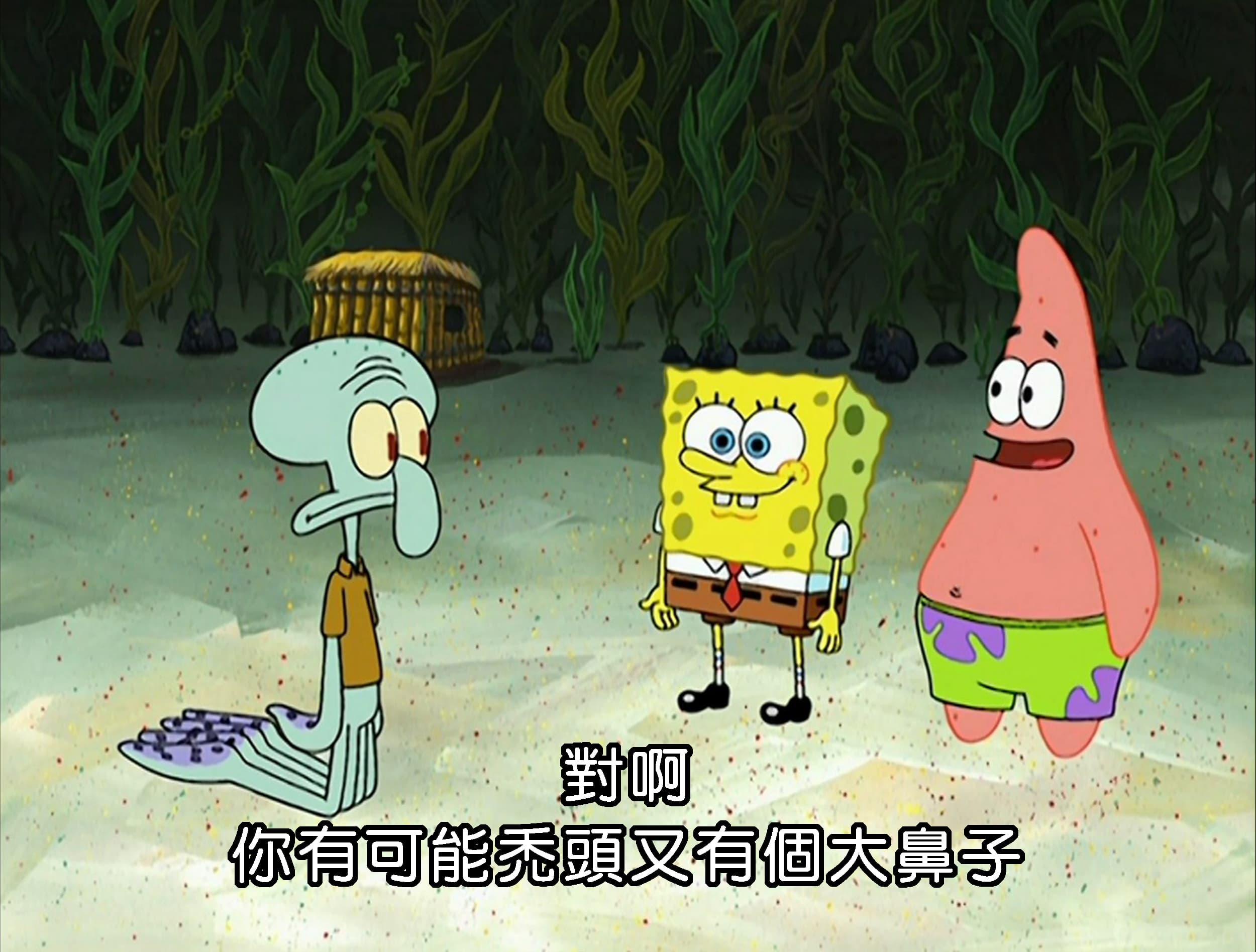 對啊 你有可能禿頭又有個大鼻子