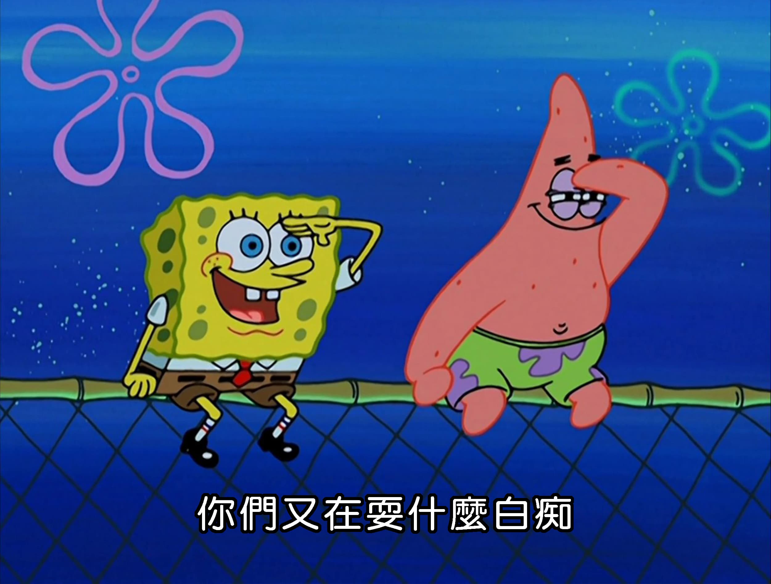 你們又在耍什麼白痴