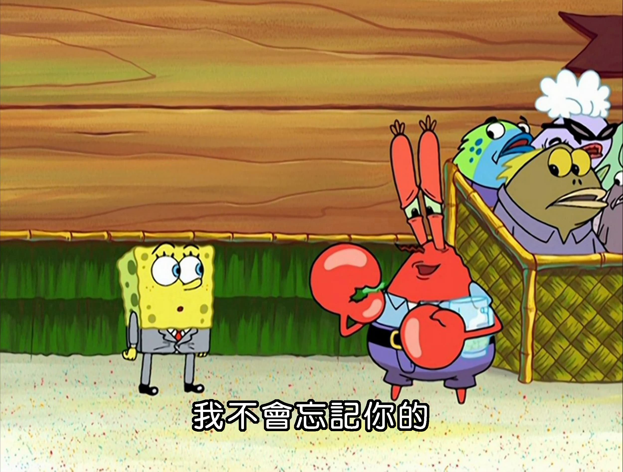 我不會忘記你的