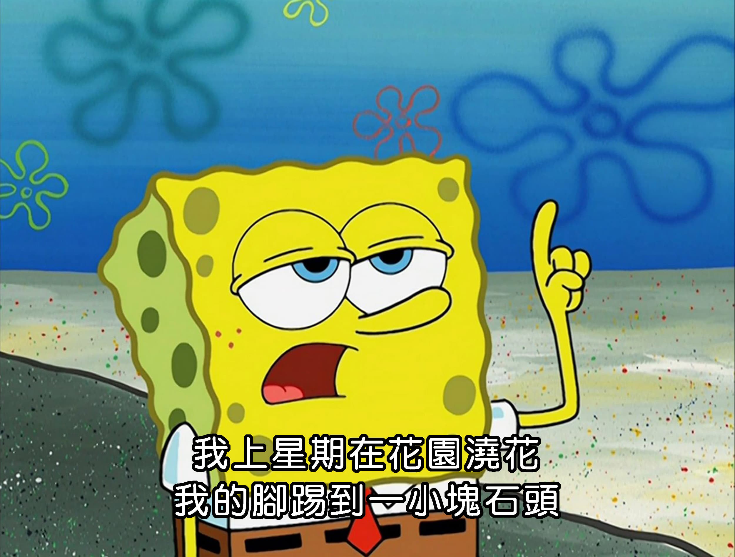 我上星期在花園澆花 我的腳踢到一小塊石頭