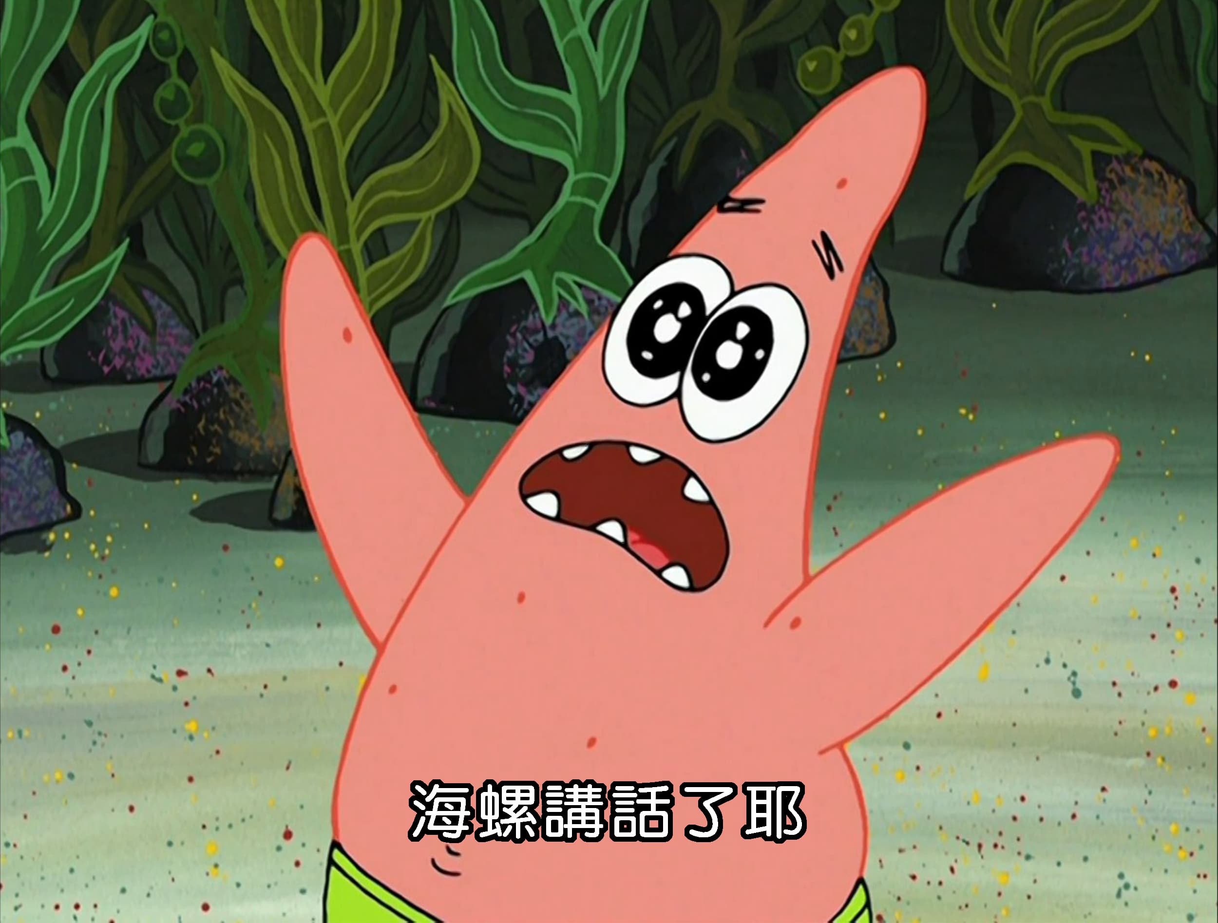 海螺講話了耶