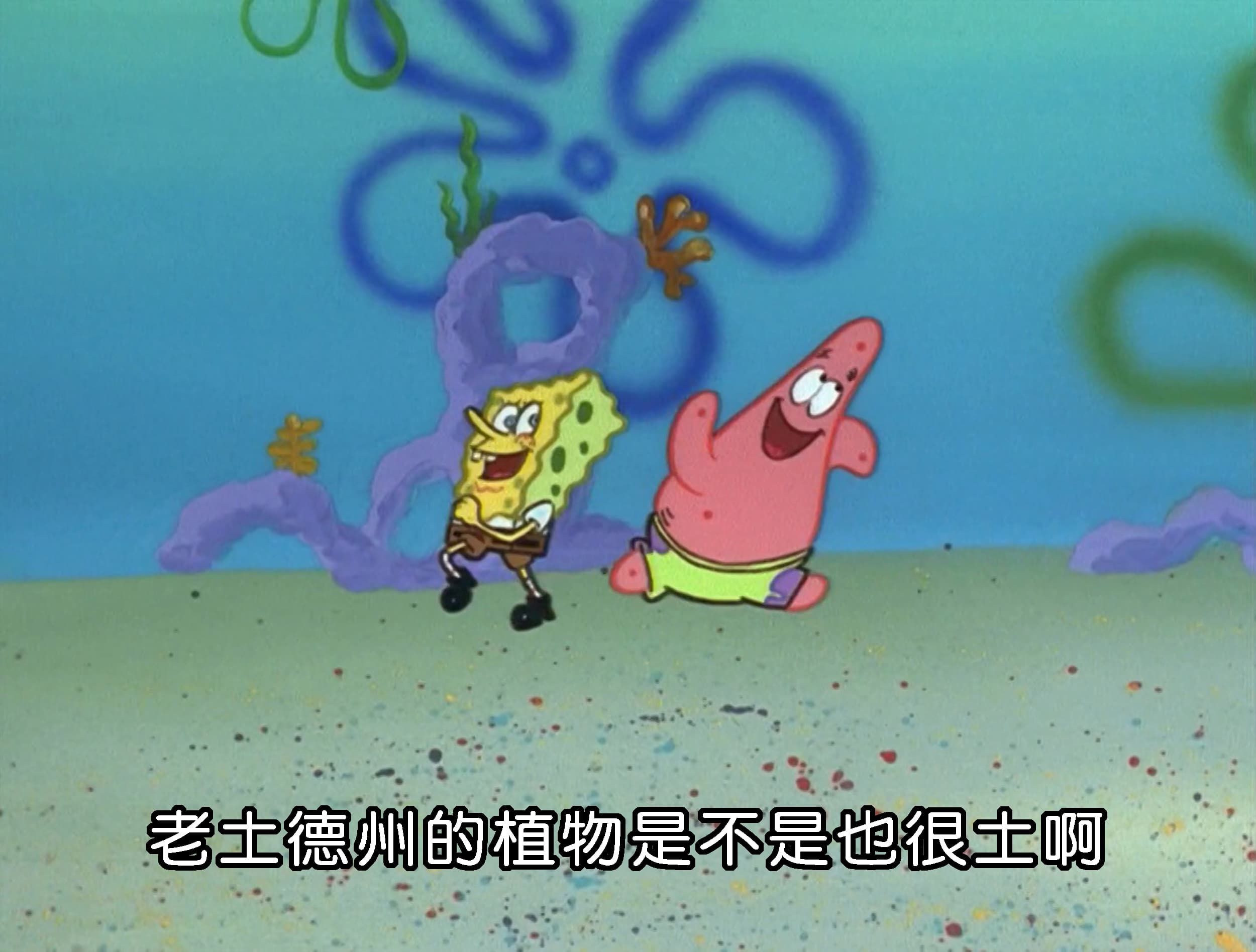 老土德州的植物是不是也很土啊