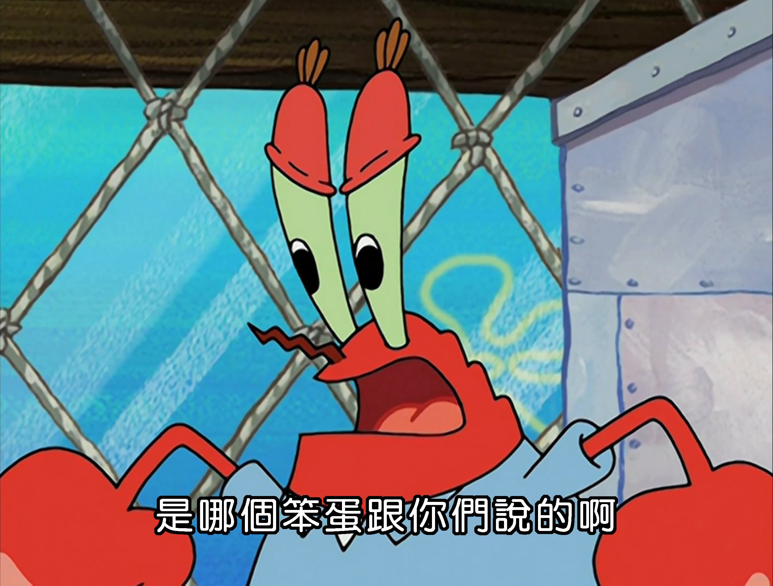 是哪個笨蛋跟你們說的啊