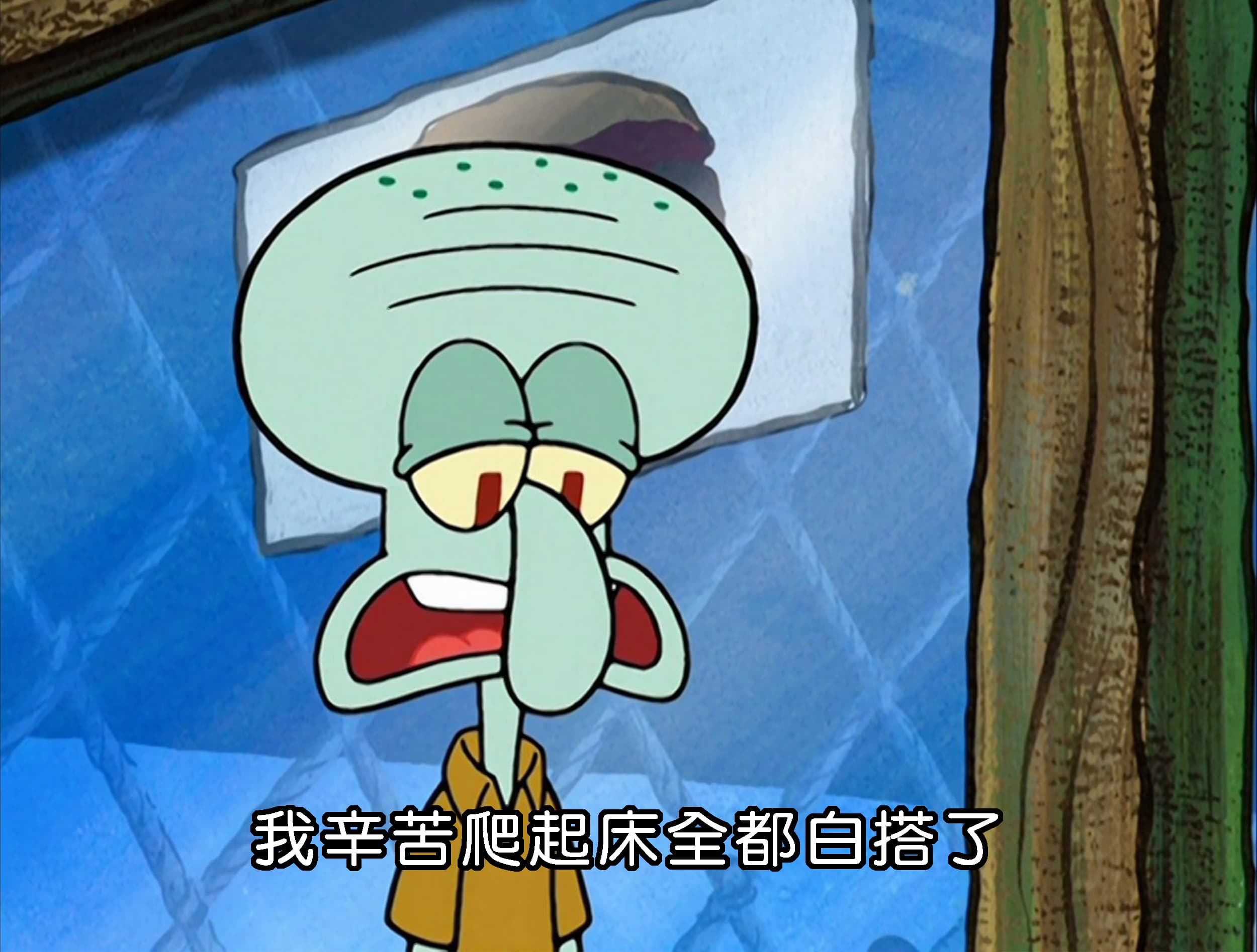 我辛苦爬起床全都白搭了