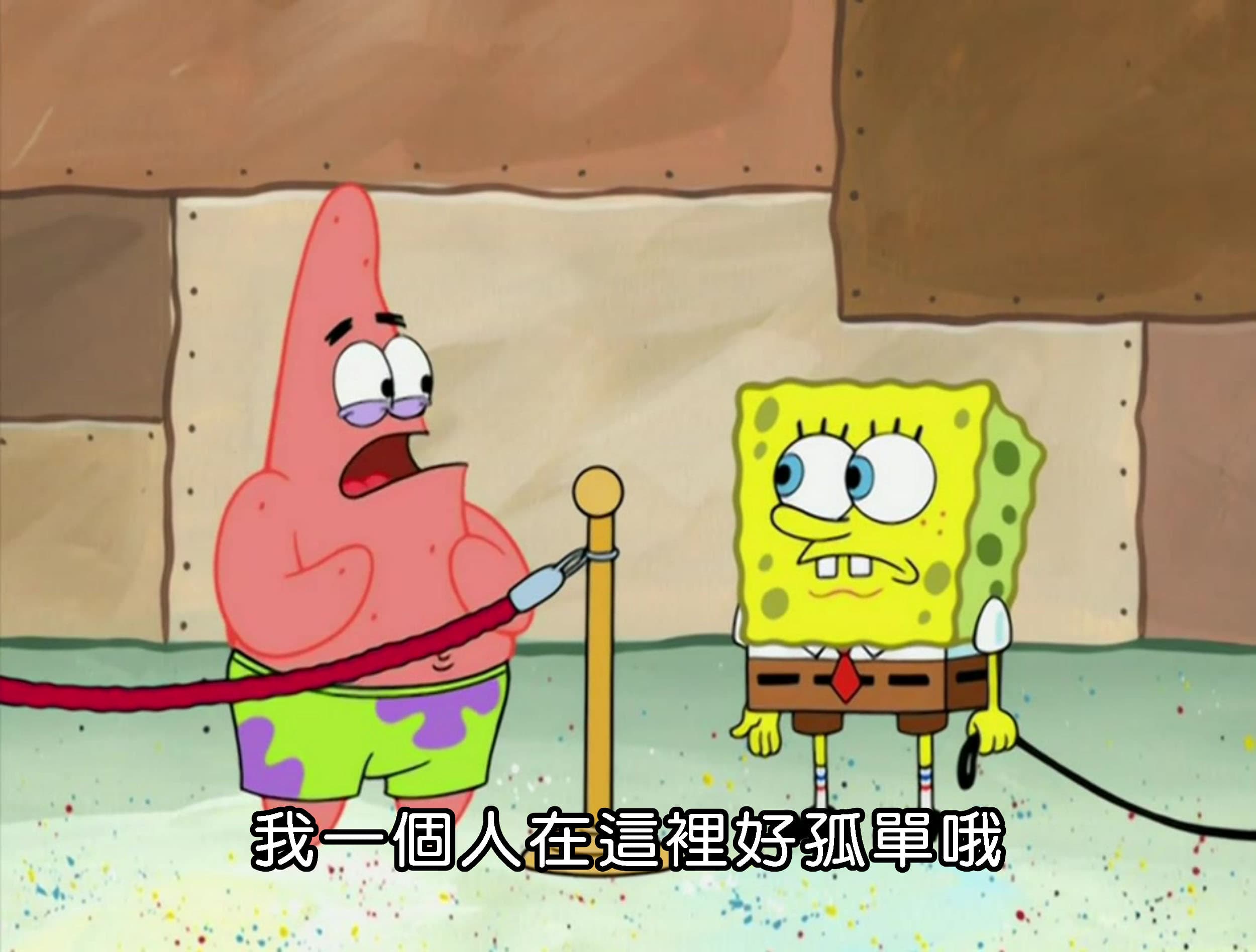 我一個人在這裡好孤單哦