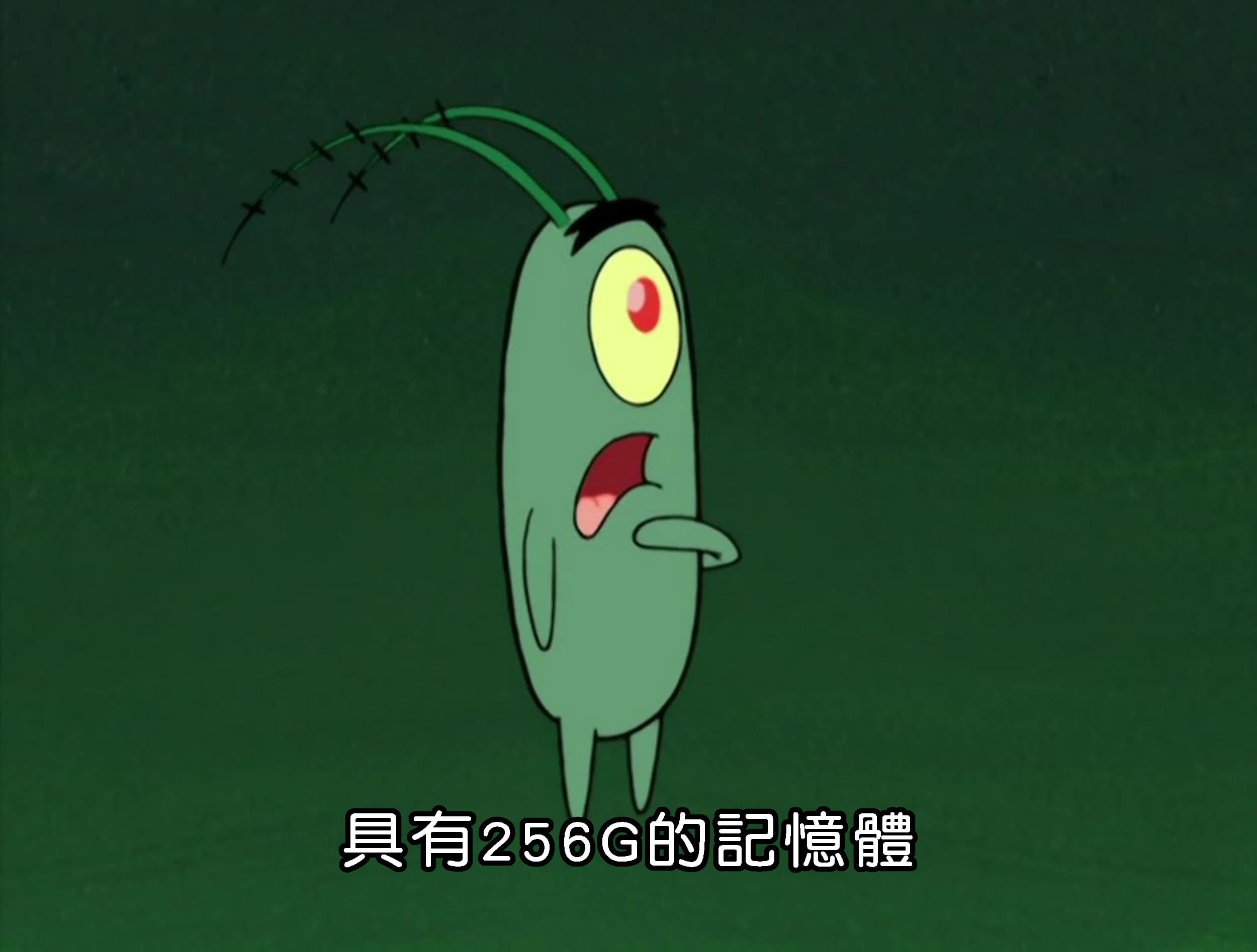 具有256G的記憶體