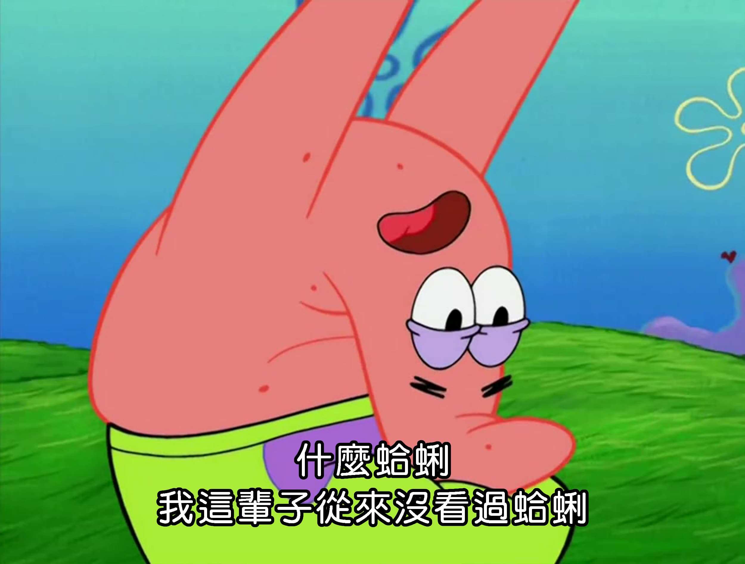 什麼蛤蜊 我這輩子從來沒看過蛤蜊