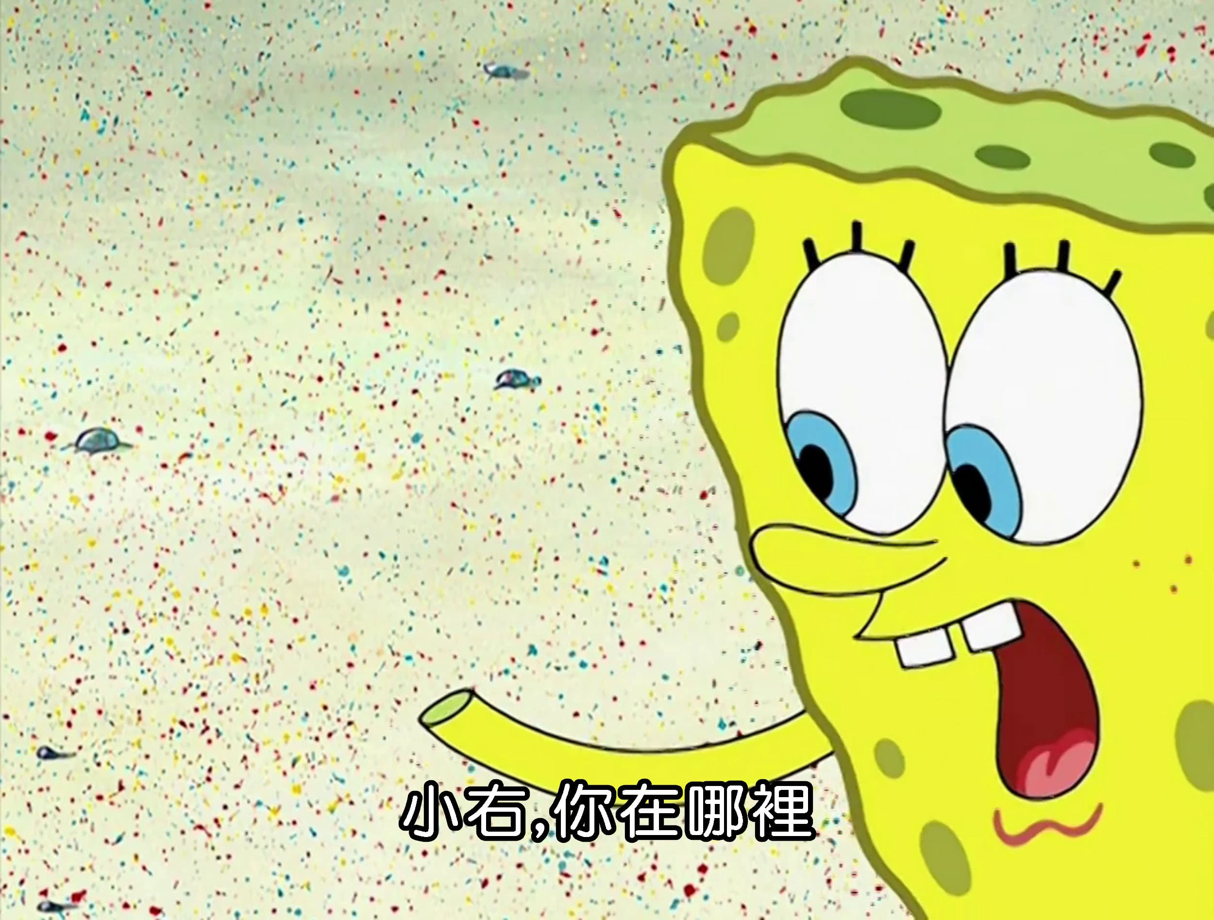 小右 你在哪裡