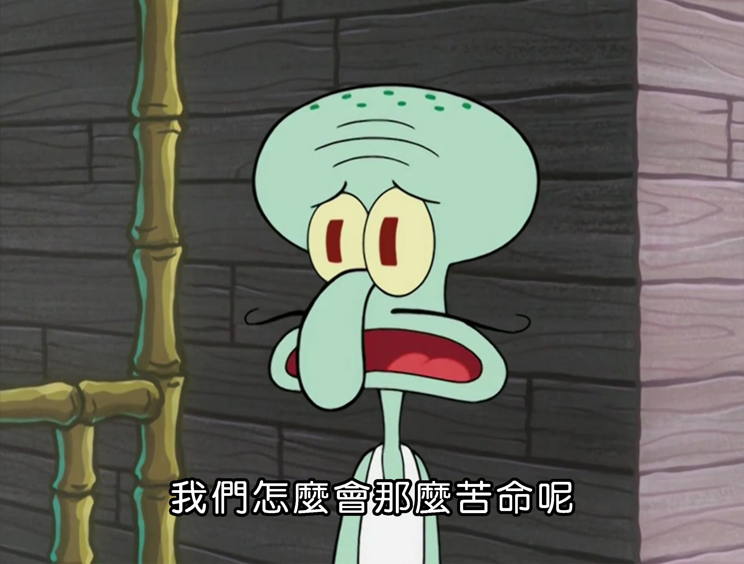 我們怎麼會那麼苦命呢