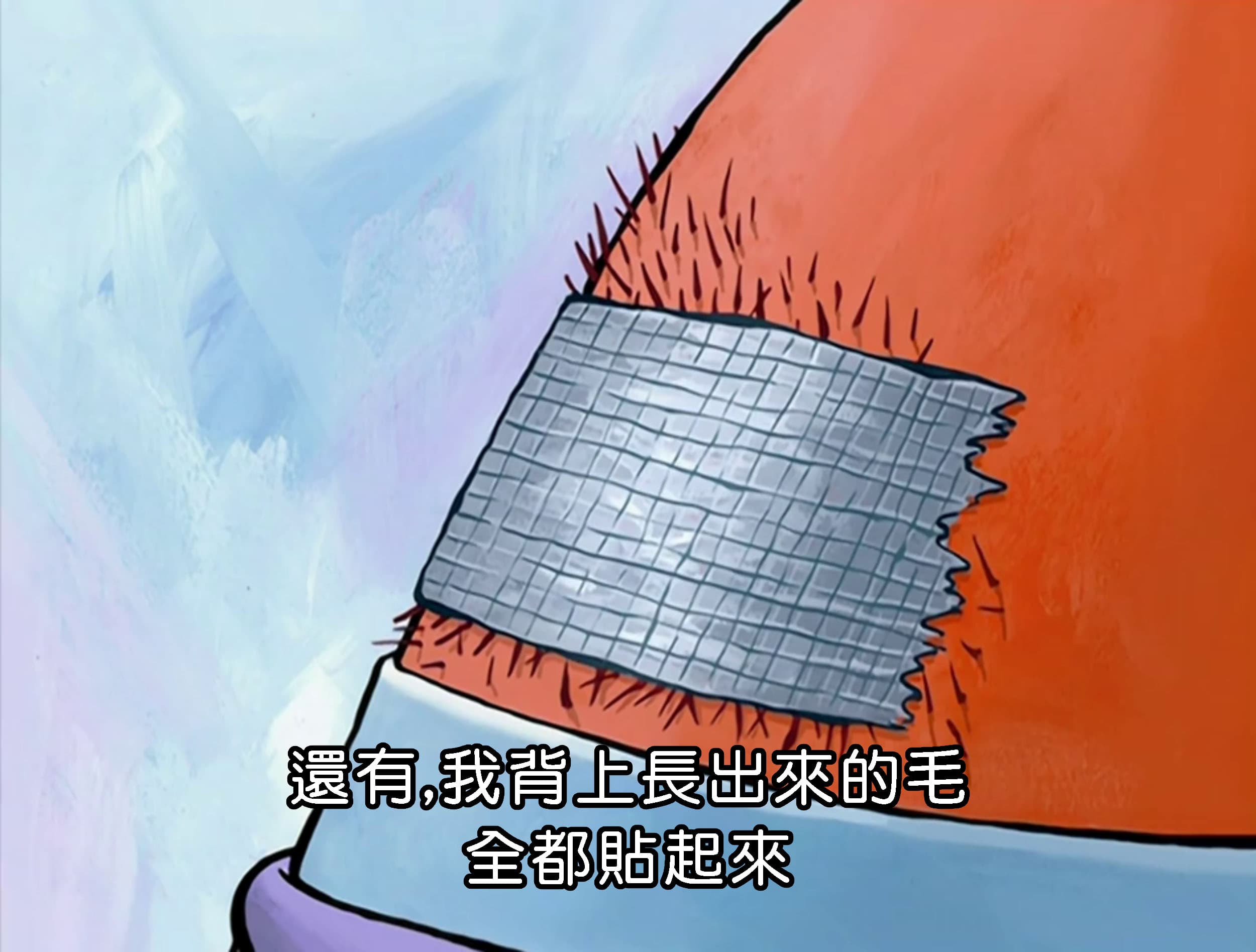 還有 我背上長出來的毛全都貼起來