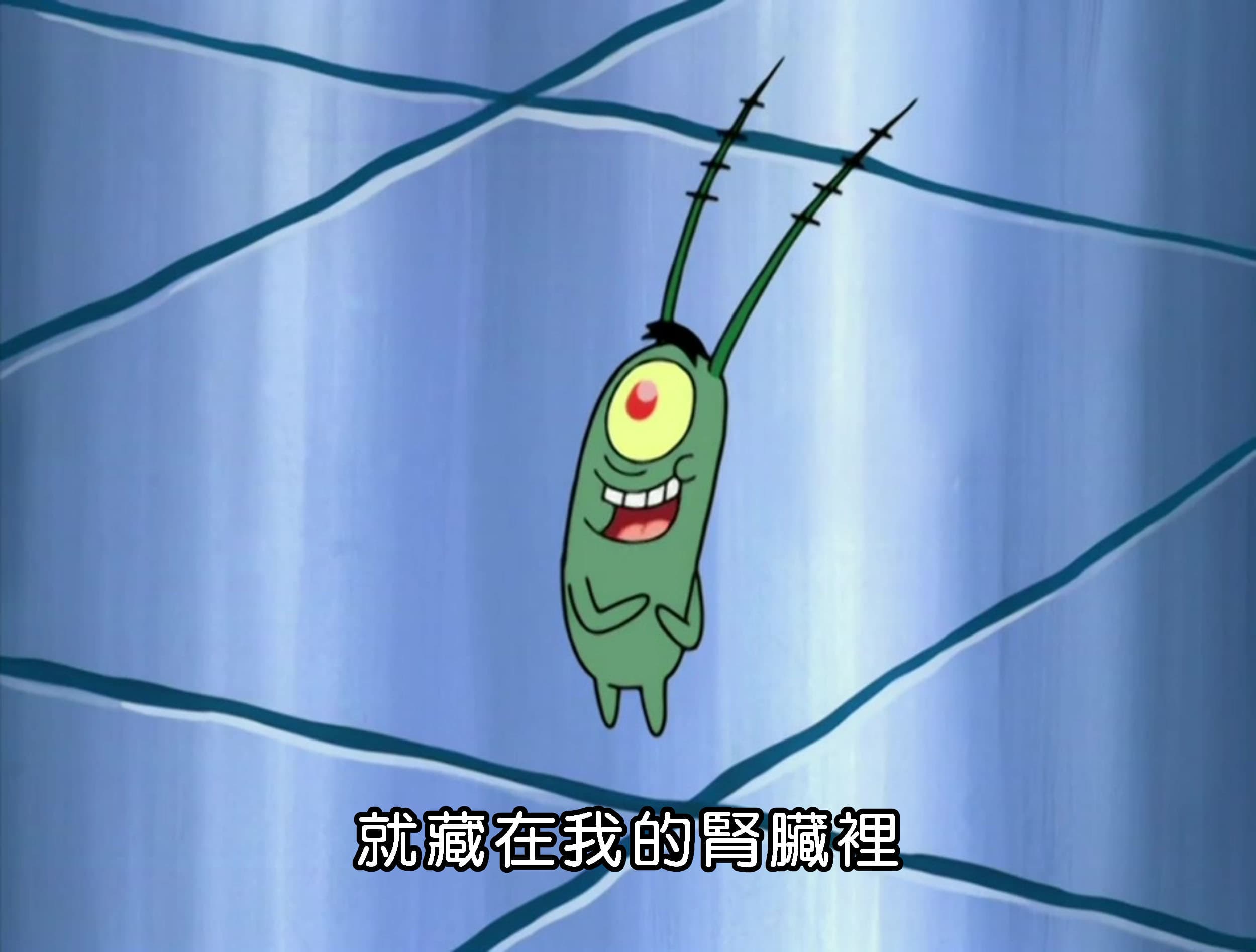 就藏在我的腎臟裡