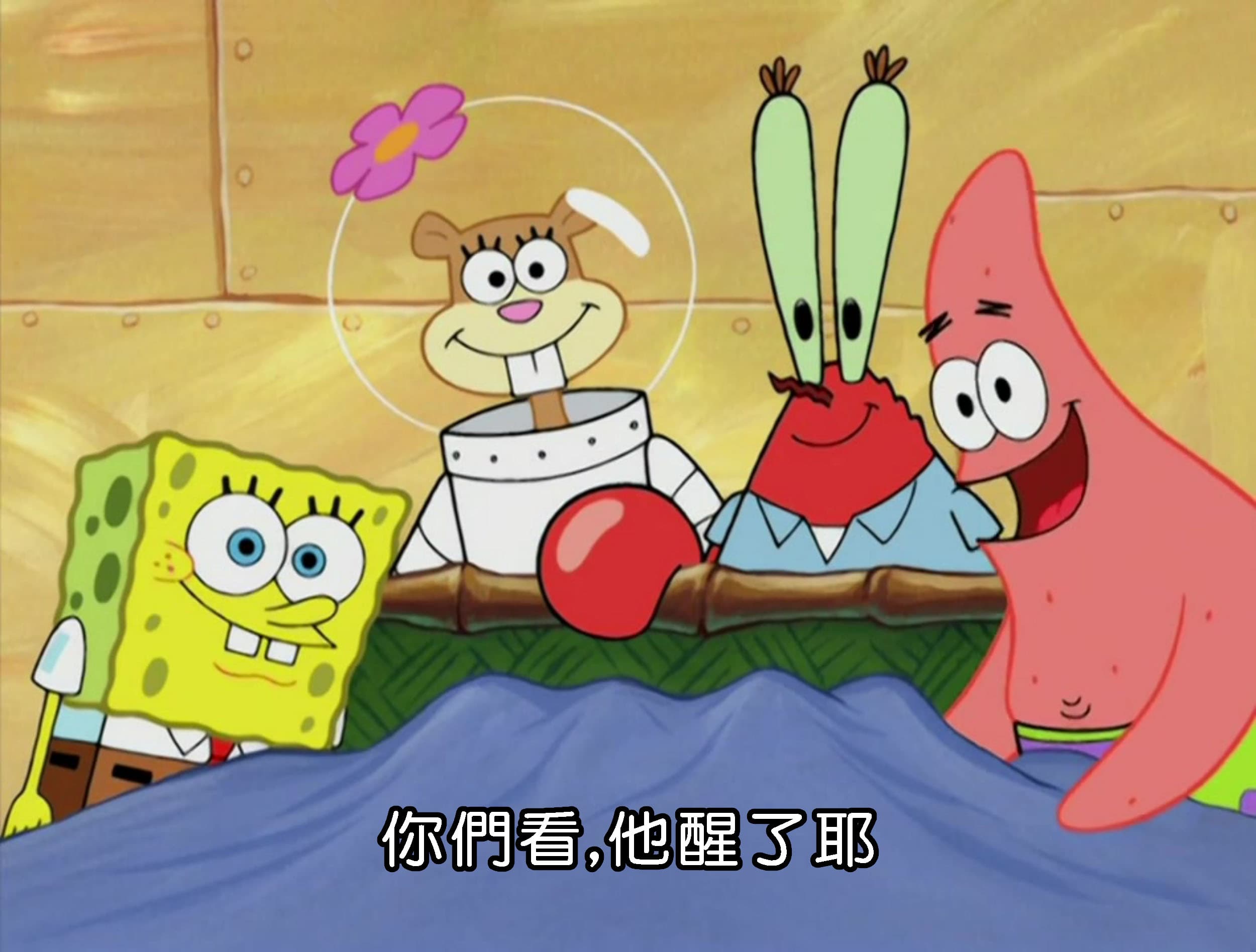 你們看 他醒了耶