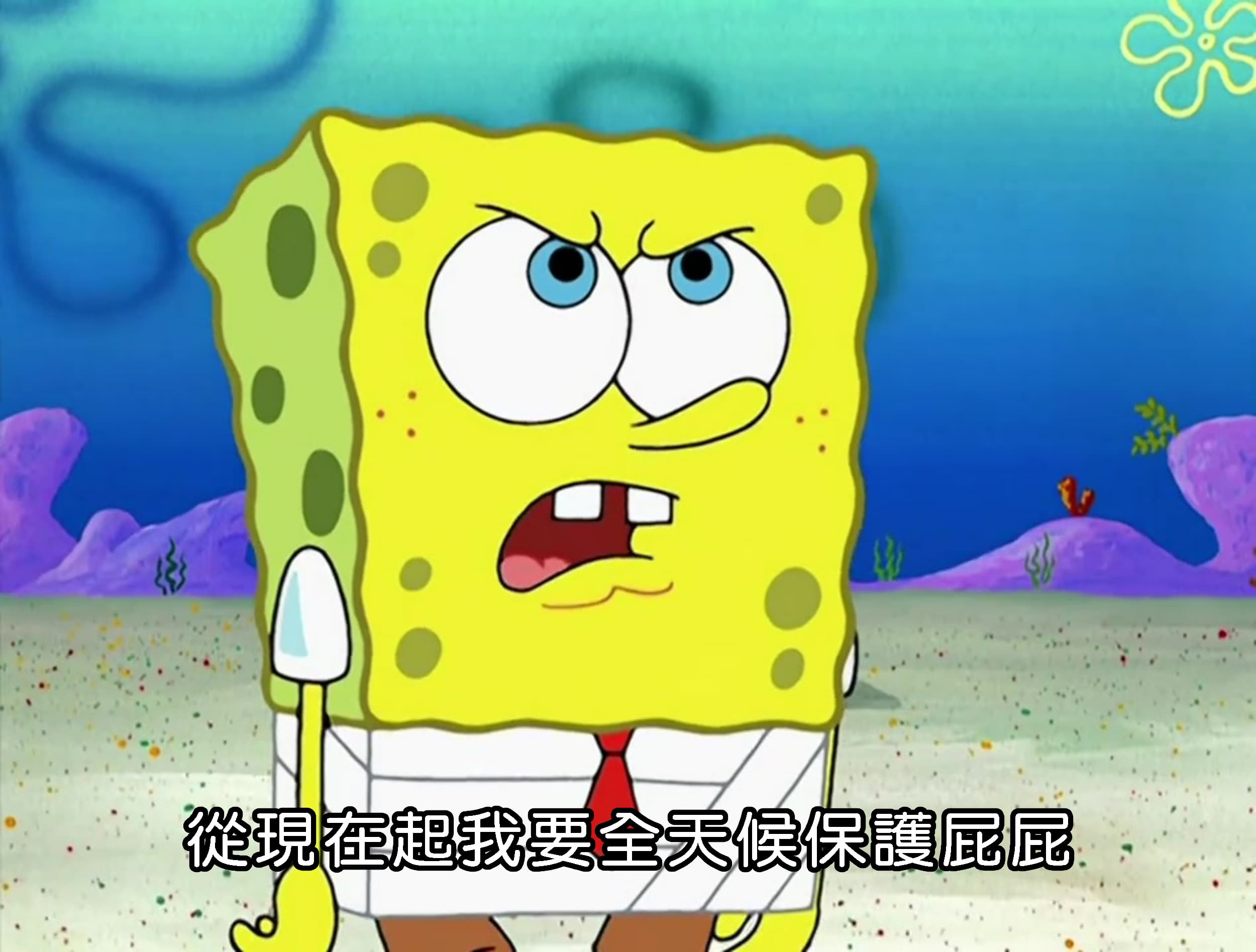 從現在起我要全天候保護屁屁