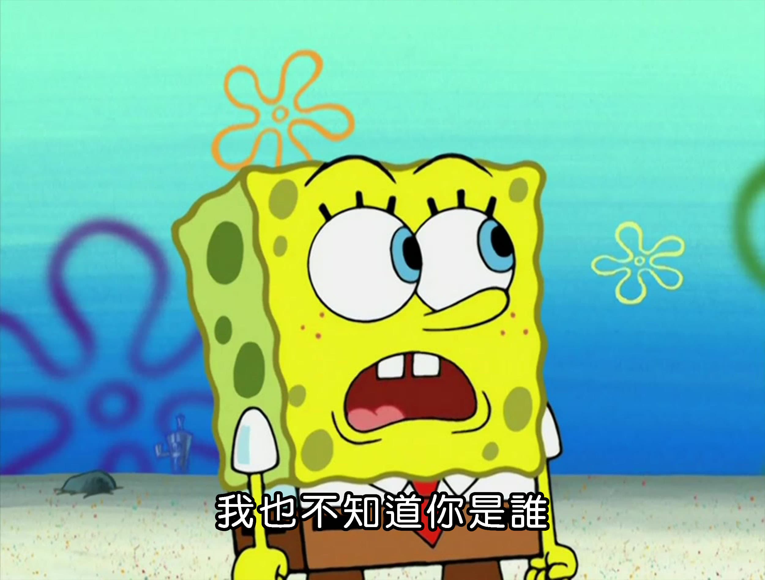 我也不知道你是誰