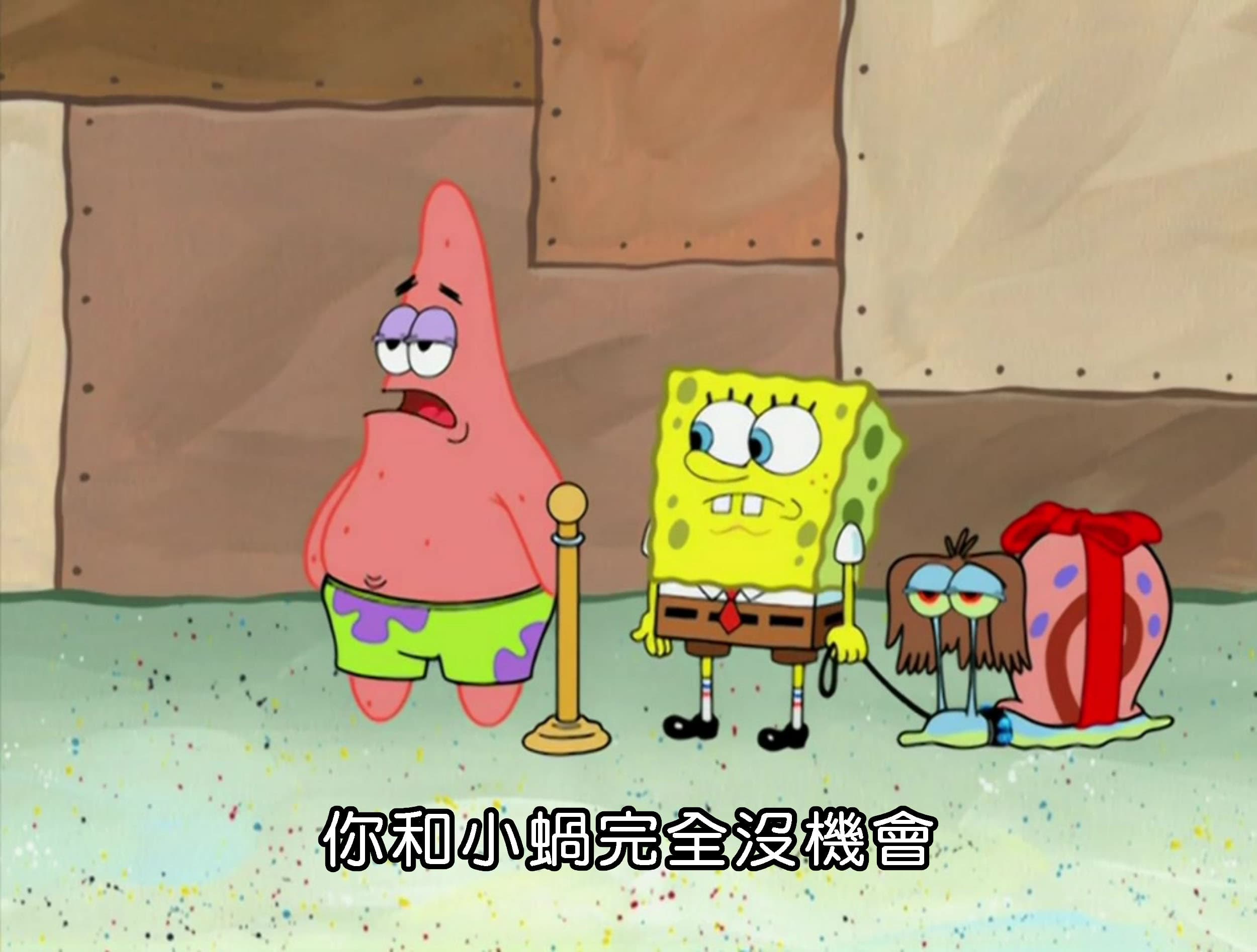 你和小蝸完全沒機會