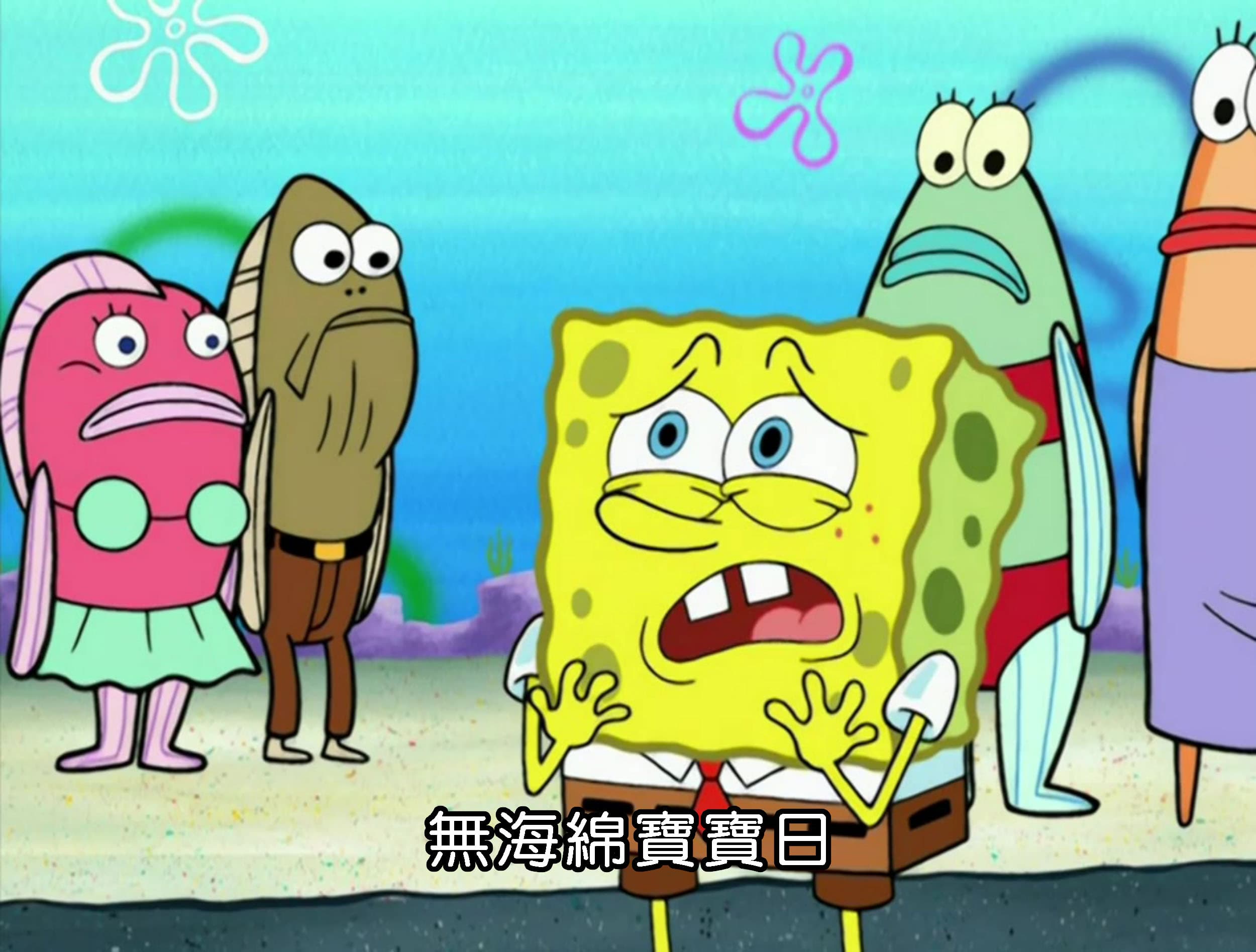 無海綿寶寶日