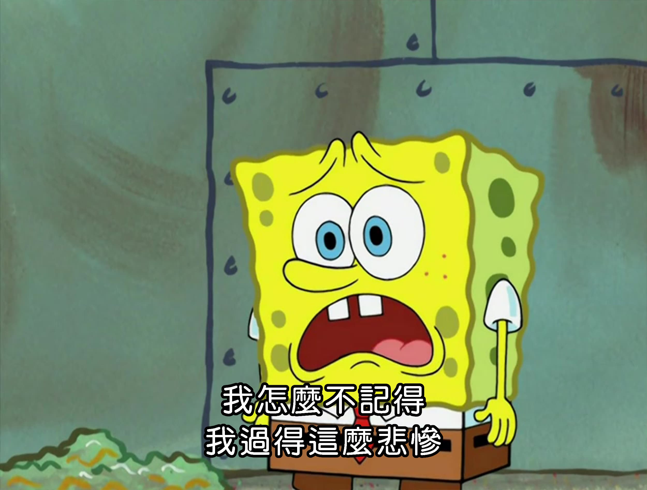 我怎麼不記得我過得這麼悲慘