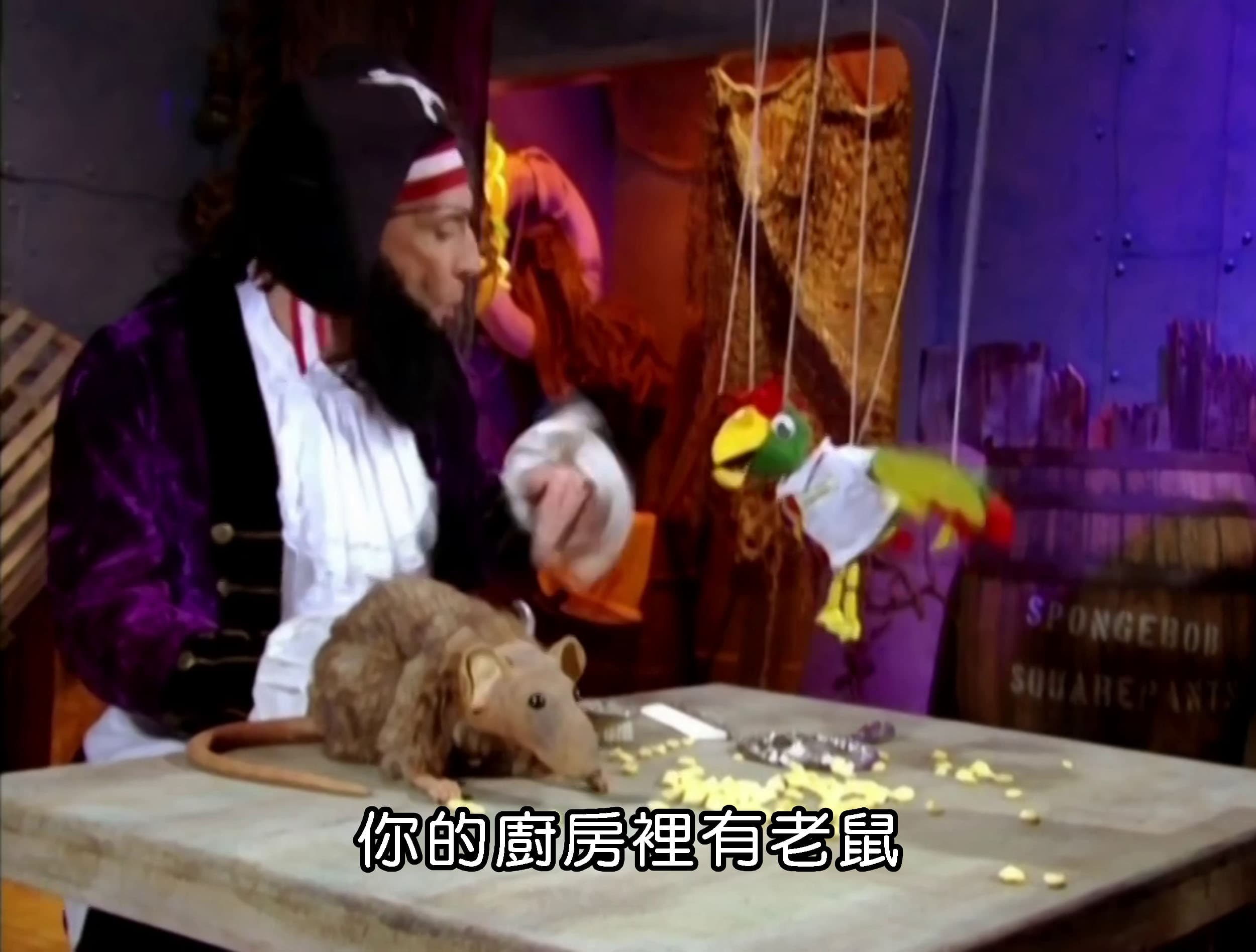 你的廚房裡有老鼠