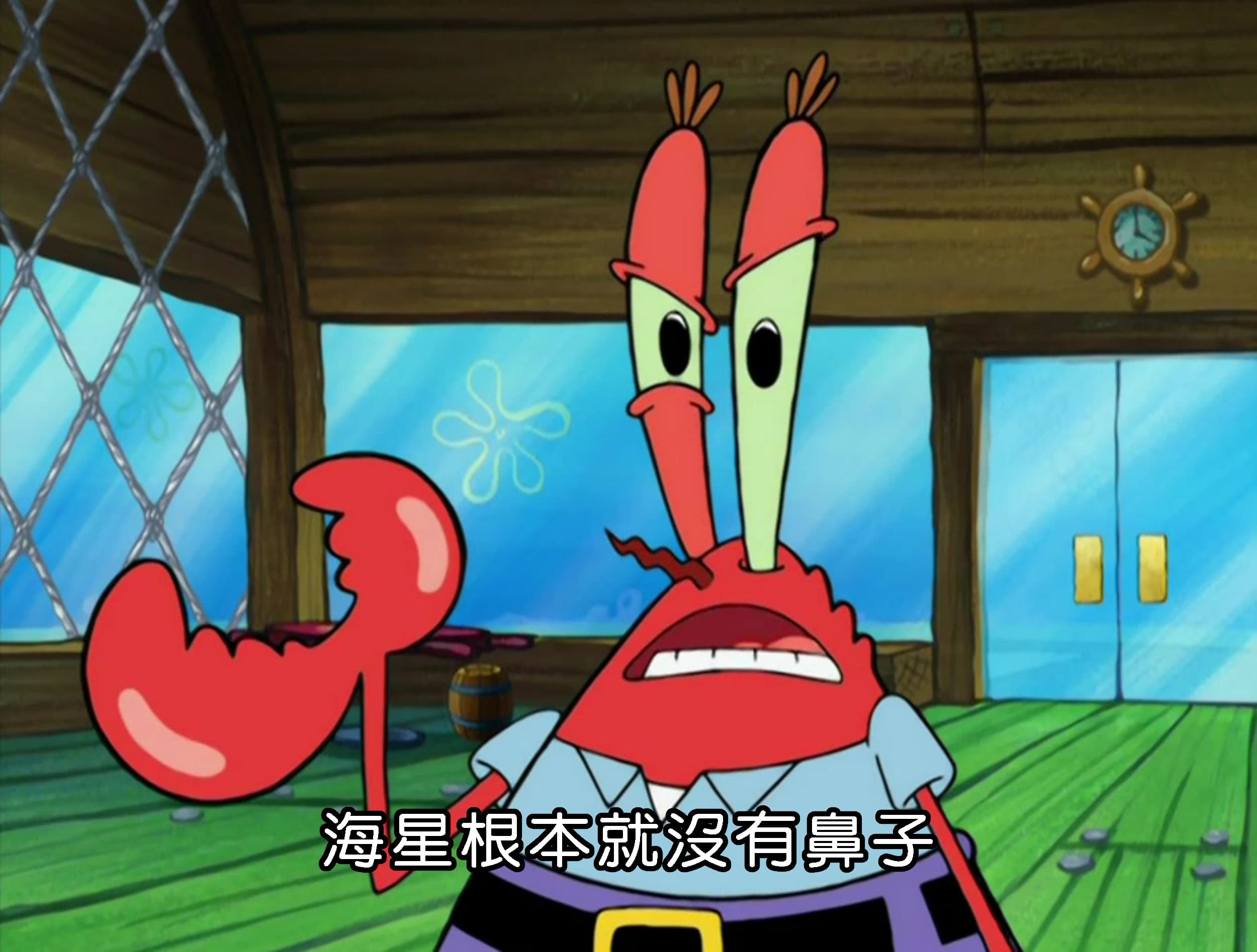 海星根本就沒有鼻子