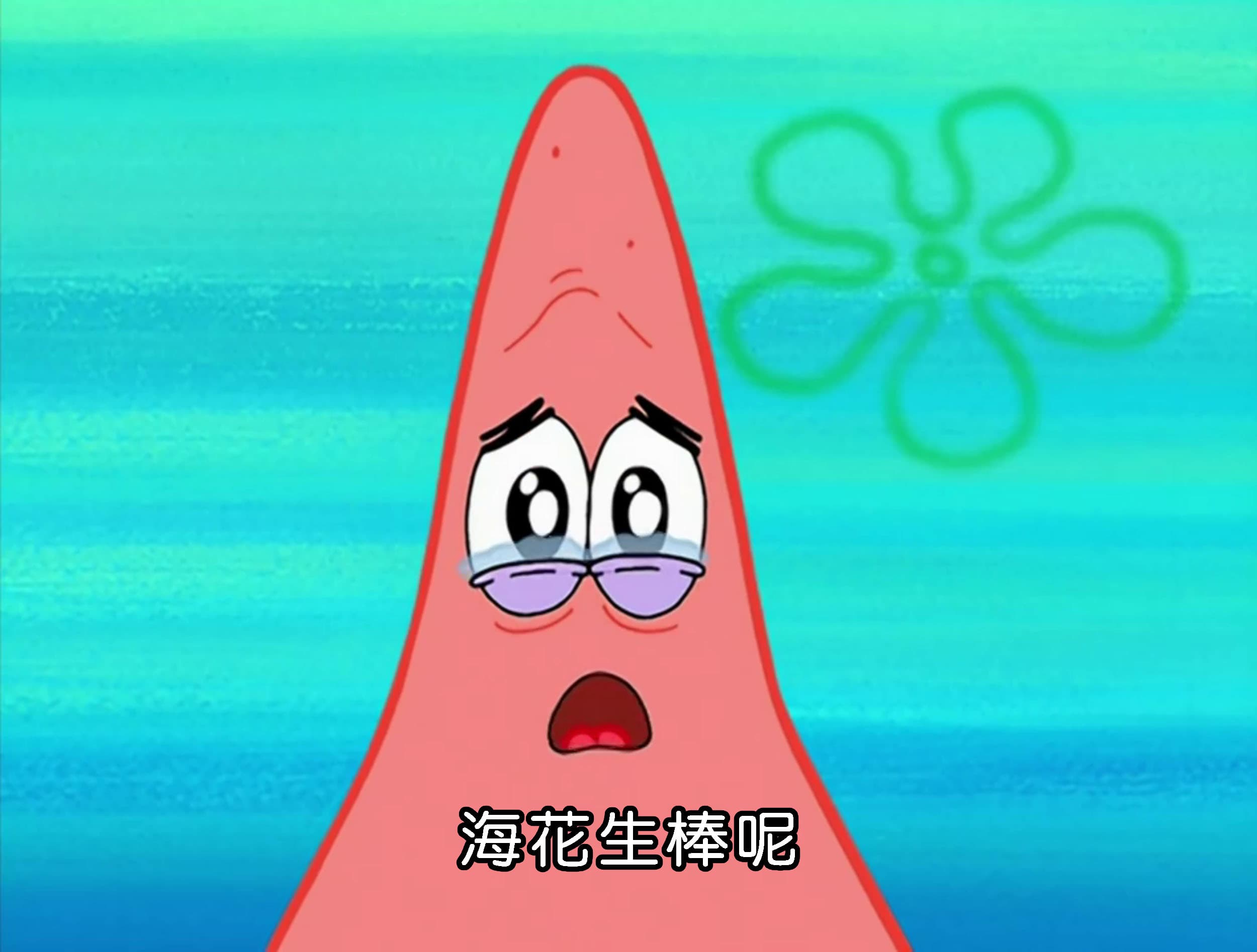 海花生棒呢